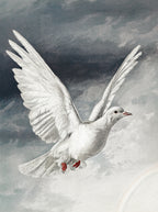 The Holy Spirit: The Classic Collection — Set of 3 Catholic Art Prints, 5×7